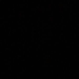 Meet your Posher, Mandy